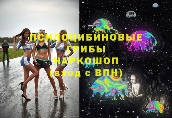 винт Аркадак