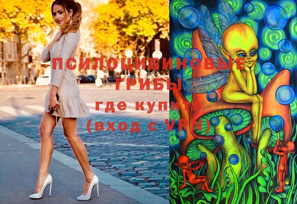 винт Аркадак