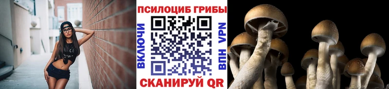 купить   Сургут  Псилоцибиновые грибы мухоморы 